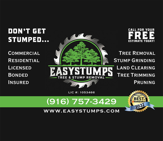 Don't get Stumped - Call Easy Stumps