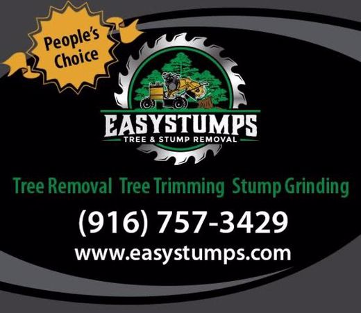 The Tree services you deserve